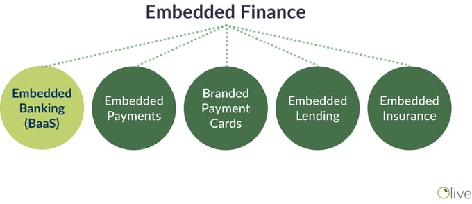 Showing that embedded finance is an umbrella, general types with lots of different types of embedded finance underneath it
